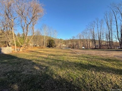 Nearly 4 Acres with Delaware River Frontage - photo 13