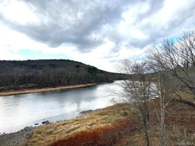 Nearly 4 Acres with Delaware River Frontage - photo 9