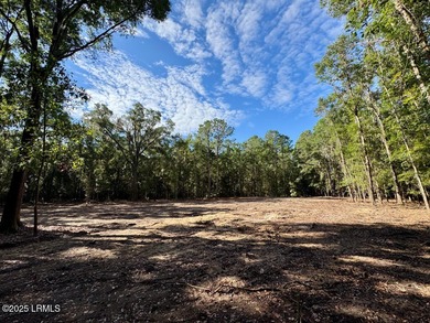 (private lake, pond, coastal) Acreage For Sale in Ridgeland South Carolina