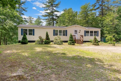 Lake Home For Sale in Acton, Maine