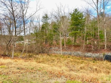 Nearly 4 Acres with Delaware River Frontage - photo 8