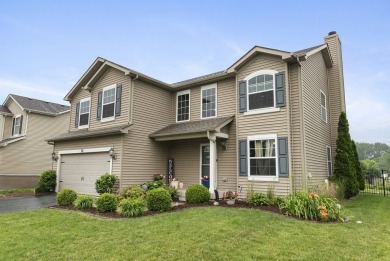 Lake Home For Sale in Minooka, Illinois