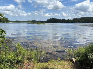 Lake Acreage For Sale in Mercer, Wisconsin