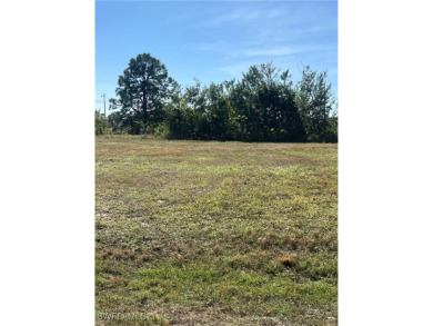 Cape Coral Lakes Area Lot For Sale in Cape Coral Florida