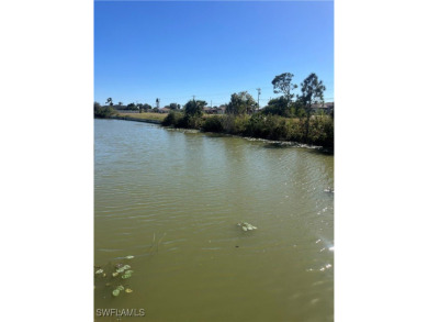 Welcome to this fantastic vacant lot situated on a serene - photo 4