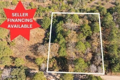 *Owner Financing Available!* Don't miss this rare opportunity to - photo 1