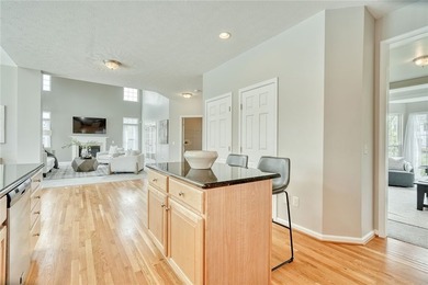 LIGHT! VOLUME! OPEN SPACE! Stunning Webster, NY home with SCALE - photo 20