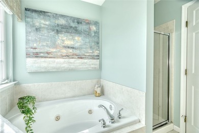LIGHT! VOLUME! OPEN SPACE! Stunning Webster, NY home with SCALE - photo 34