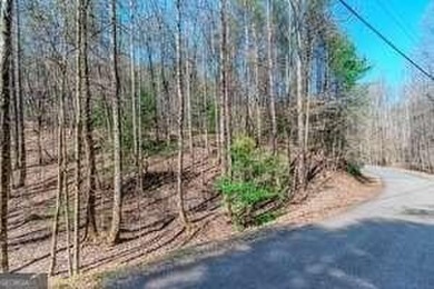 (private lake, pond, creek) Lot For Sale in Ellijay Georgia