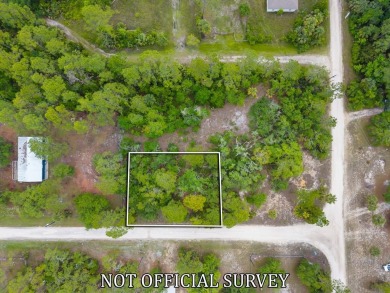 Suwannee River Lot For Sale in Suwannee Florida