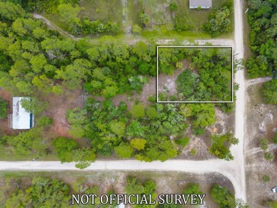 Suwannee River Lot For Sale in Suwannee Florida