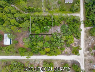 Suwannee River Lot For Sale in Suwannee Florida