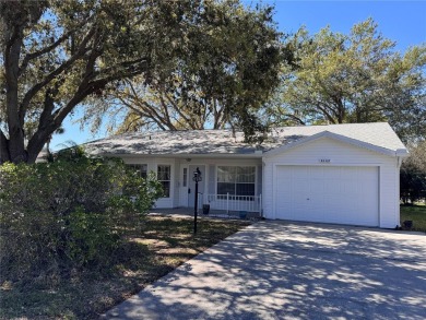 Lake Home For Sale in Leesburg, Florida