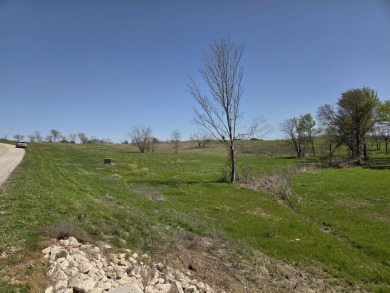 Double lots with Peek a boo lake views on Lake Halbert - photo 23