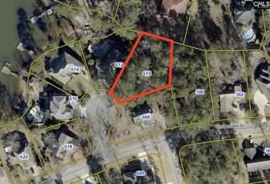 Lake Lot For Sale in Chapin, South Carolina