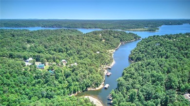 Lakefront retreat on Beaver Lake just 15 minutes from Downtown - photo 17