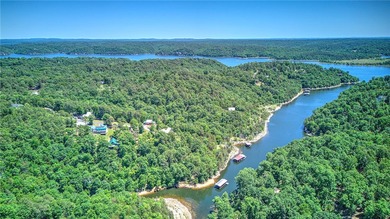 Lakefront retreat on Beaver Lake just 15 minutes from Downtown - photo 44