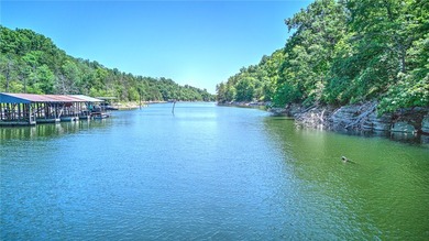 Lakefront retreat on Beaver Lake just 15 minutes from Downtown - photo 46