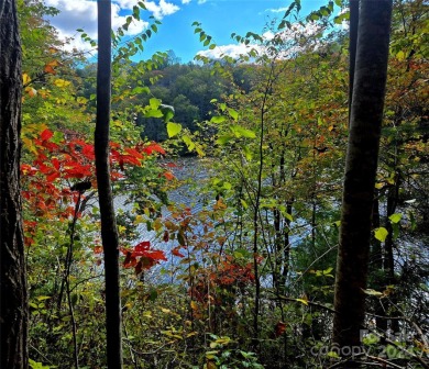 Cedar Cliff Lake Lot For Sale in Tuckasegee North Carolina