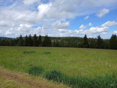 Rare hilltop acreage with 360 degree views in all directions - photo 4