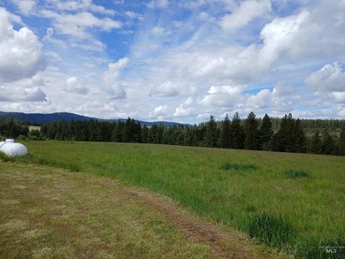 Rare hilltop acreage with 360 degree views in all directions - photo 5