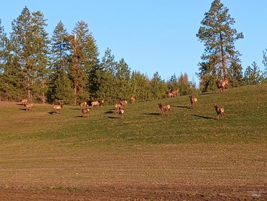 Rare hilltop acreage with 360 degree views in all directions - photo 8