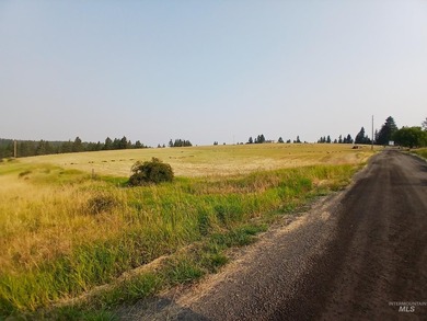 Rare hilltop acreage with 360 degree views in all directions - photo 9