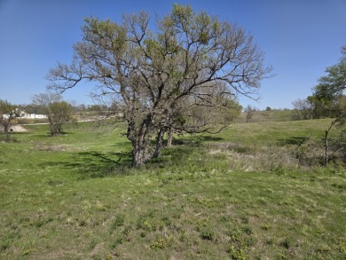 Double lots with Peek a boo lake views on Lake Halbert - photo 29