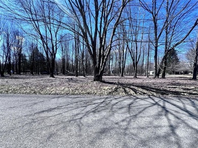 Pymatuning Reservoir Lot For Sale in Shenango Pennsylvania