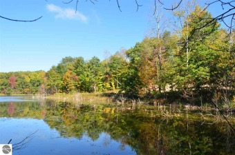 (private lake, pond, creek) Acreage Sale Pending in Lake Ann Michigan