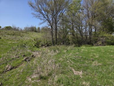Double lots with Peek a boo lake views on Lake Halbert - photo 18