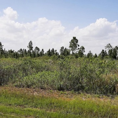Lake Lot For Sale in Indian Lake Estates, Florida