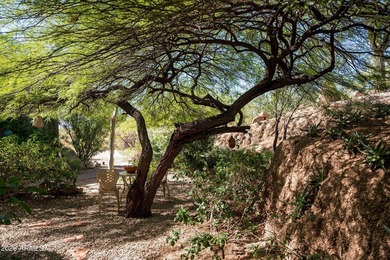 Custom pretty pueblo ideally seated on 1.5 acres for total - photo 35