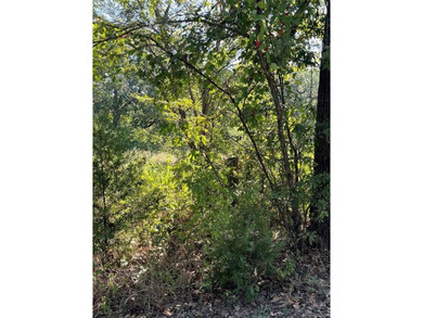 Lake Tawakoni Lot For Sale in Hawk Cove Texas