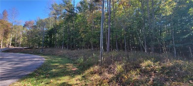 Lake Hartwell Lot Sale Pending in Westminster South Carolina