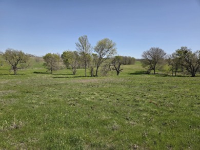 Double lots with Peek a boo lake views on Lake Halbert - photo 31