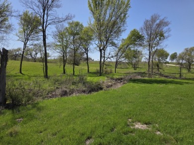 Double lots with Peek a boo lake views on Lake Halbert - photo 19