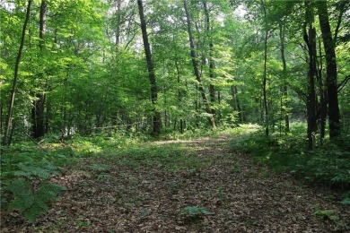 Lake Acreage For Sale in Frederic, Wisconsin