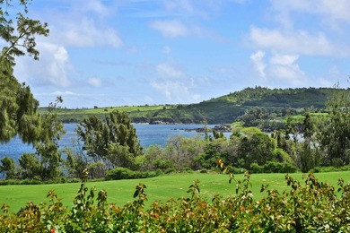 Set within the exclusive enclave Kapalua Resort, this expansive - photo 41