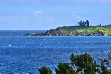 Set within the exclusive enclave Kapalua Resort, this expansive - photo 42