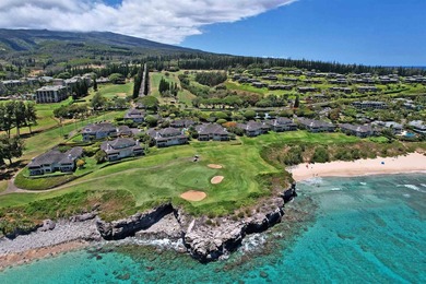 Set within the exclusive enclave Kapalua Resort, this expansive - photo 49