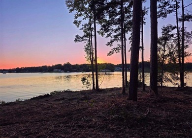 Lake Secession Lot Active Under Contract in Abbeville South Carolina