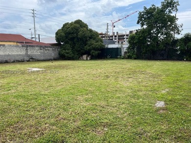 Development site located in the WOW District. Property consists - photo 5