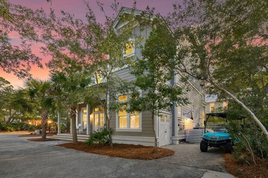 Welcome to the gated Hammocks at Seagrove Beach, located just a - photo 6