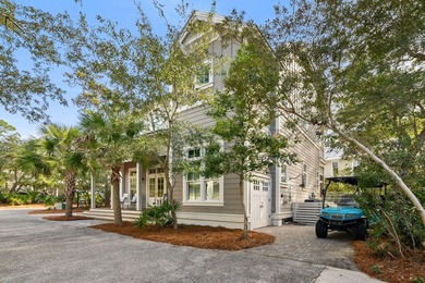 Welcome to the gated Hammocks at Seagrove Beach, located just a - photo 10
