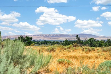 MLS# 293961 Columbia River View, 1.65 acres, and a 60x40 heated - photo 5