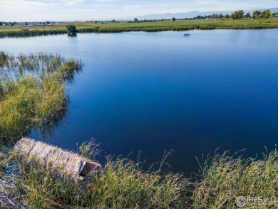 (private lake, pond, creek) Acreage For Sale in Longmont Colorado