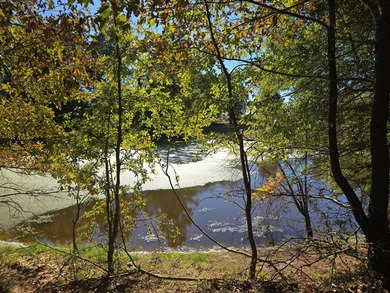 3 BED 1 BATH HOME ON 14 ACRES FOR SALE IN ANTLERS OKLAHOMA!! - photo 7
