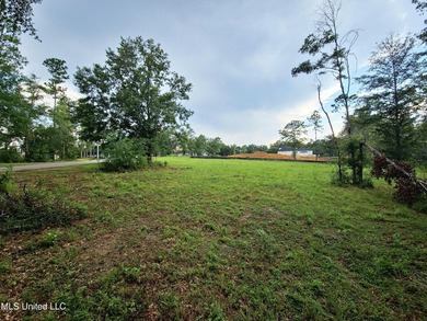 LUXURIOUS 1.4 Acre CLEARED LOT in Prestigious Florence Gardens - photo 2