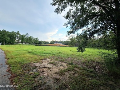 LUXURIOUS 1.4 Acre CLEARED LOT in Prestigious Florence Gardens - photo 3
